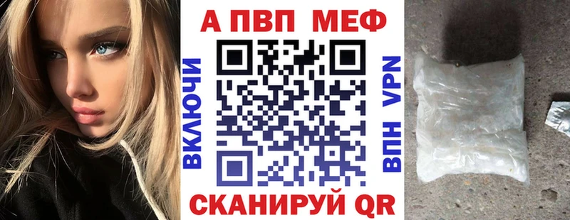 как найти   Темников  APVP СК 