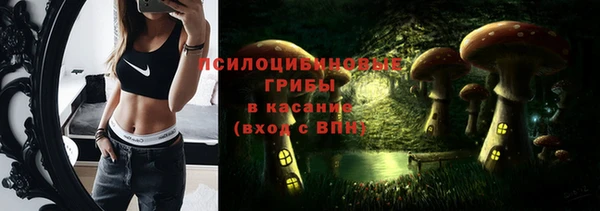 метадон Армянск
