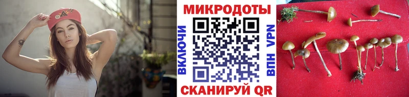 Галлюциногенные грибы GOLDEN TEACHER  Темников 
